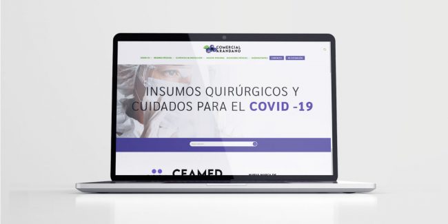 Proyecto Comercial Arándano